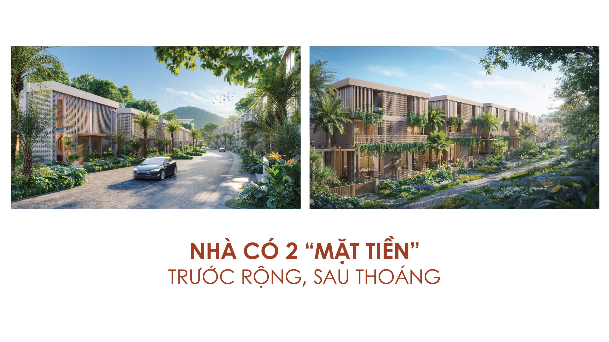 La tien 80 34 scaled