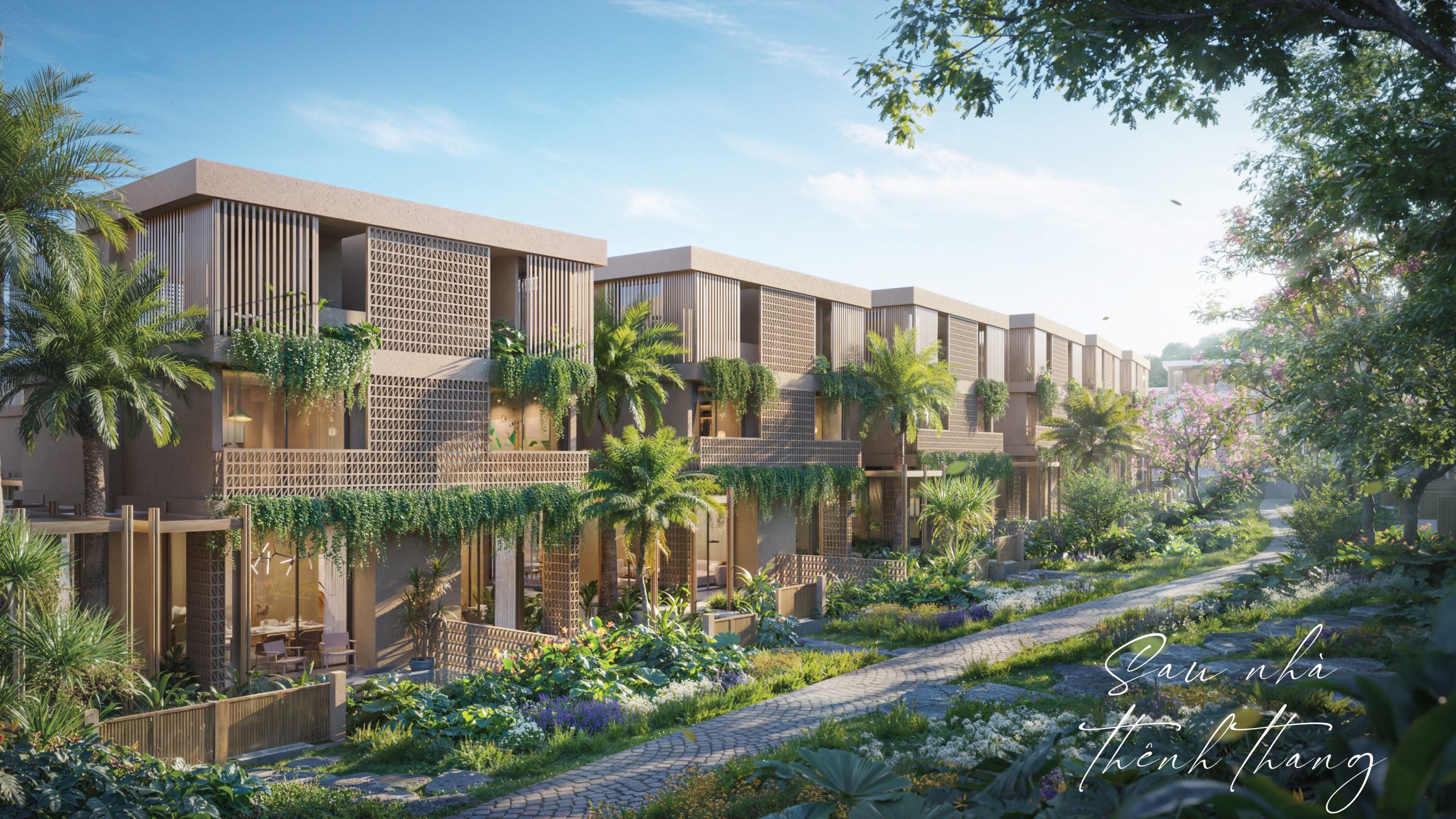 La tien 80 35 scaled