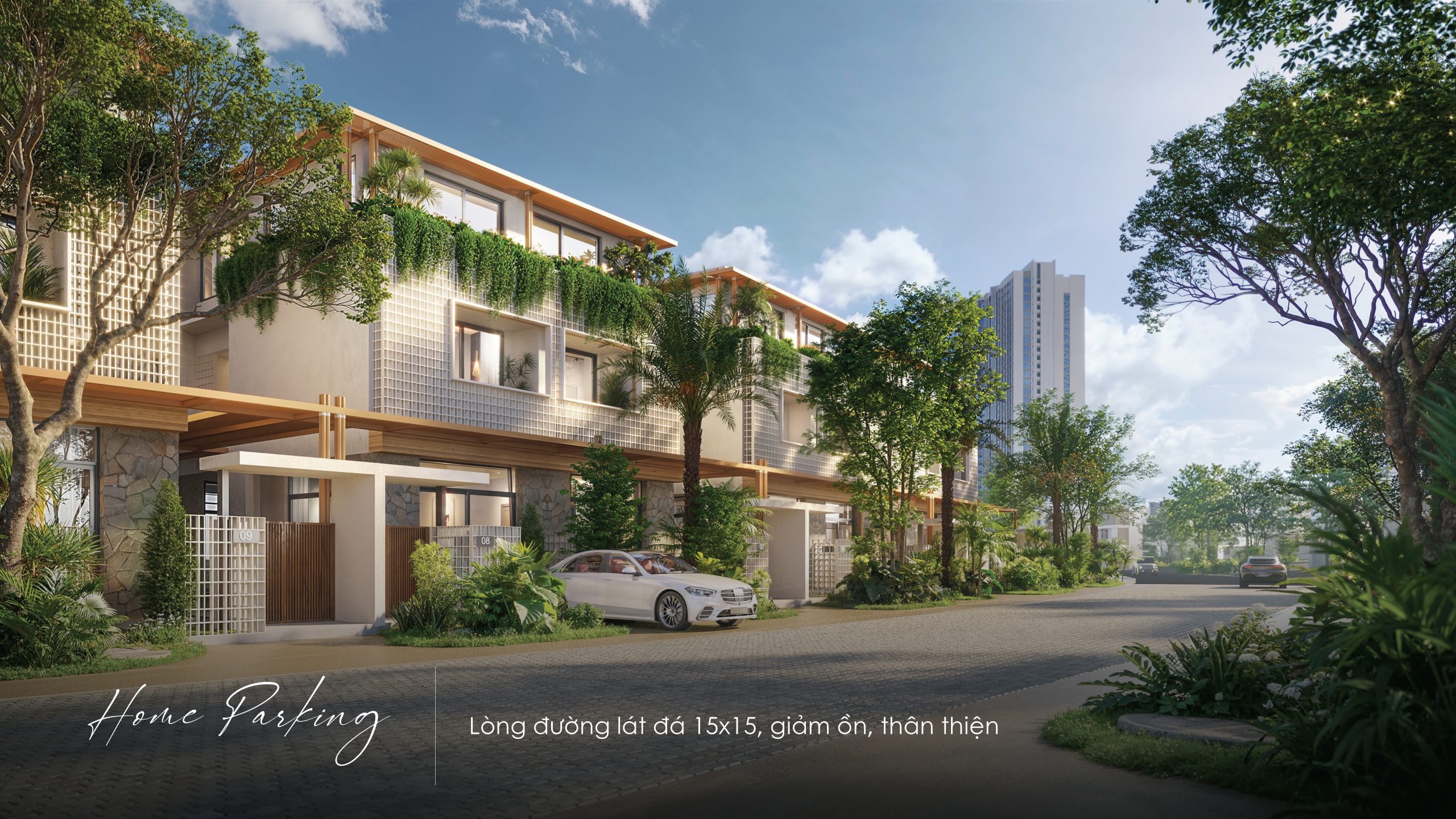 La tien 80 37 scaled